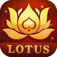 new rummy 2024 51 bonus download